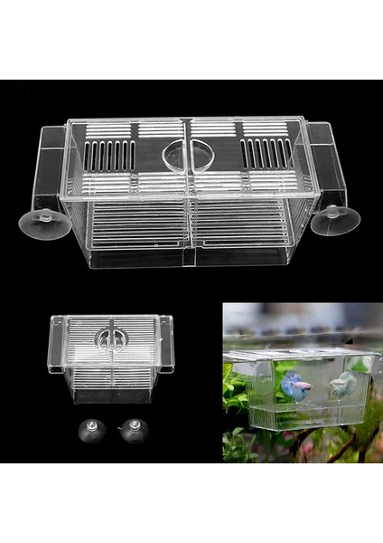 Stili Temizle L Beden Akvaryum Balık Tankı Çift Irk Kuluçka Damızlık Yetiştirme Tuzak Kutusu Kuluçkahane Sl M09 (Yurt Dışından) fiyatları