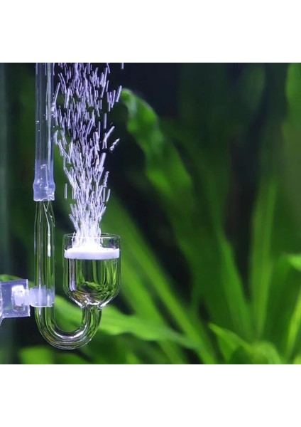 B Tarzı M Beden Cam Co2 Difüzör Akvaryum Dikilen Arıtıcı Kabarcık Sayacı Balık Tankı Aksesuarları U-Şekilli Tüp Karbon Dioksit Jeneratörü (Yurt Dışından) fiyatları