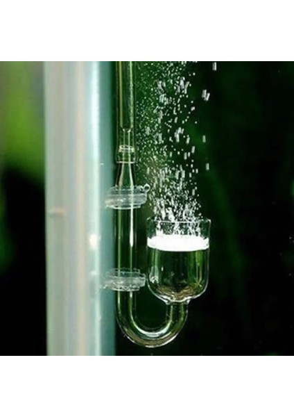 B Tarzı M Beden Cam Co2 Difüzör Akvaryum Dikilen Arıtıcı Kabarcık Sayacı Balık Tankı Aksesuarları U-Şekilli Tüp Karbon Dioksit Jeneratörü (Yurt Dışından) modelleri