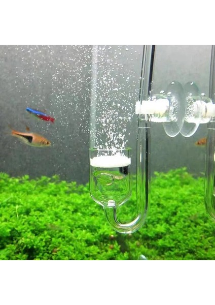 B Tarzı M Beden Cam Co2 Difüzör Akvaryum Dikilen Arıtıcı Kabarcık Sayacı Balık Tankı Aksesuarları U-Şekilli Tüp Karbon Dioksit Jeneratörü (Yurt Dışından) fırsatları