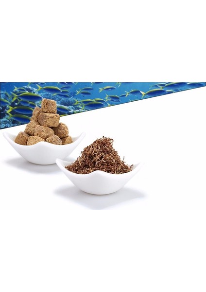 Kırmızı Kan Solucan Stili 200ML Kırmızı Kan Solucan Dondurularak Kurutulmuş Artemia Salina Balık Her Türlü Tropikal Akvaryum Küçük Balıklar Için Yem Yemi (Yurt Dışından) modelleri