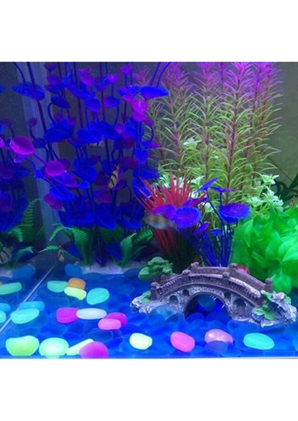 No.4 Tarzı 200 Adet Adet Balık Tankı Dekoratif Akvaryum Süsleri Taşlar Karanlıkta Parlıyor Işıklı Çakıl Taşları Bahçe Süslemeleri Için (Yurt Dışından) indirimleri