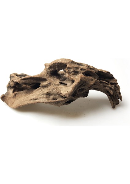 5-10CM 1 Adet Tarzı Doğal Ahşap Balık Tankı Driftwood Ağacı Mor Tik Gövdesi Driftwood Akvaryum Tesisi Akvaryum Dekorasyonu (Yurt Dışından) fırsatları