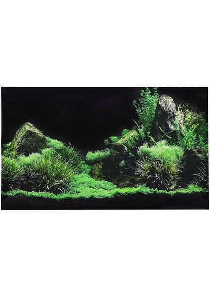 Boyut 2 Tarzı Akvaryum Balık Tankı Deniz Tabanı Su Çim Arka Plan Dekorasyon Boyama Pvc Etiket Akvaryum Bitkileri Balık Tankı Dekorasyonu (Yurt Dışından) fırsatları