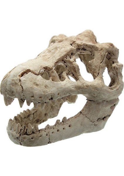 No.5 Tarzı Dragon Reçine Akvaryumterrarium Dekorasyon Timsah Kafatası Balık Tankı Reçine Süsleme Akvaryumunuzu Süsleyin (Yurt Dışından) fiyatları