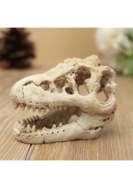 No.5 Tarzı Dragon Reçine Akvaryumterrarium Dekorasyon Timsah Kafatası Balık Tankı Reçine Süsleme Akvaryumunuzu Süsleyin (Yurt Dışından) fırsatları