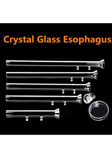 45CM Tarzı 6 Boyutlu Cam Akvaryum Besleyici Tüp Çanak Şeffaf Balık Tankı Karides Salyangoz Gıda Besleyici Kase Akvaryum Besleme Aksesuarları (Yurt Dışından) fırsatları