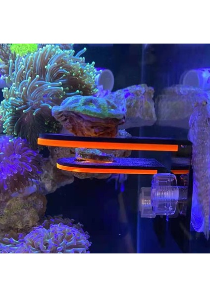 Sarı Üç Tarzı Floresan Mercan Frag Raf Akrilik Yetiştirme Mercan Tutucu Braket Lps Braket Montaj Aracı Deniz Resif Tankı Peyzaj (Yurt Dışından)