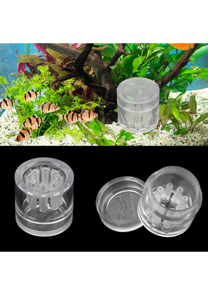 8 Delikli Akvaryum Zararlı Kapanı Şeffaf Balık Bitki Tankı Planaria Salyangoz Tuzak Akvaryum Temizlik Araçları (Yurt Dışından) fiyatları