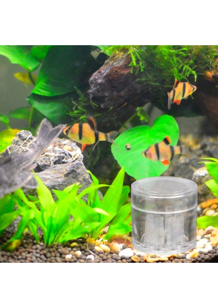 8 Delikli Akvaryum Zararlı Kapanı Şeffaf Balık Bitki Tankı Planaria Salyangoz Tuzak Akvaryum Temizlik Araçları (Yurt Dışından) modelleri