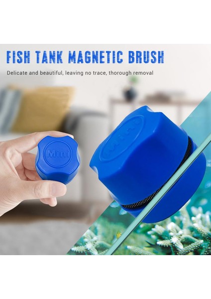 Beyaz Stil Manyetik Mini Akvaryum Ev Yüzen Yosun Temizleyici Fırça Temizleyici Aksesuar Balık Tankı Temiz Fırça Balık Tankı Temizlik Temizlik Araçları (Yurt Dışından) fiyatları