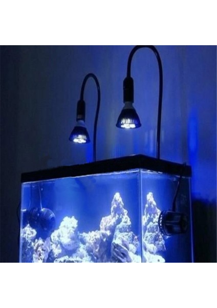 2R2B1W Stili Tam Spektrum 10W E27 Akvaryum LED Aydınlatma Balık Tankı Akvaryum Hava Pompası Filtrasyonu ve Su Bitkileri Için Işık Büyütüyor (Yurt Dışından)