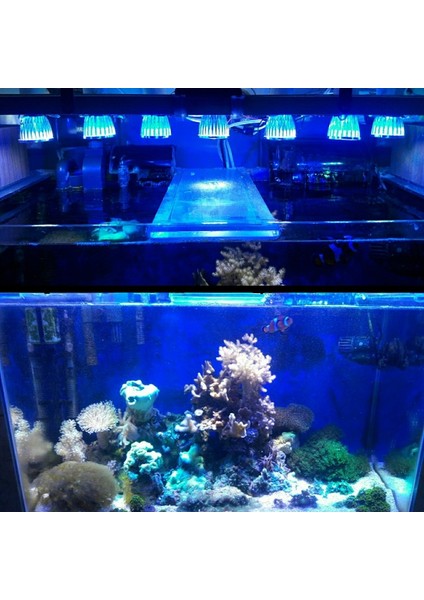 2R2B1W Stili Tam Spektrum 10W E27 Akvaryum LED Aydınlatma Balık Tankı Akvaryum Hava Pompası Filtrasyonu ve Su Bitkileri Için Işık Büyütüyor (Yurt Dışından)