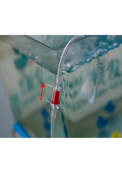 Bir Stil Co2 Ekipmanı Için Lastik Çek Valf Akvaryum Suyu Co2 Sistemine Giden Valf Difüzör Karbon Dioksit Deposu Kontrol Suyu (Yurt Dışından) indirimleri
