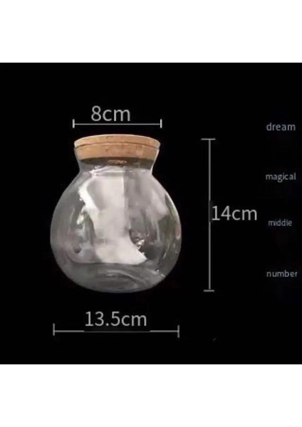 Boş Şişe M Stili Akvaryum Küçük Balık Tankı Mikro Görünüm Görüntüleme Akvaryum Çevre Düzenlemesi Mücadele Balık Tankı Cam Ekolojik Şişe Akvaryum Aksesuarları (Yurt Dışından)