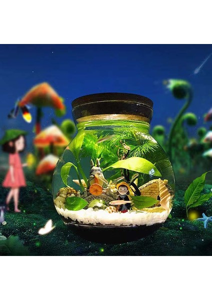 Boş Şişe M Stili Akvaryum Küçük Balık Tankı Mikro Görünüm Görüntüleme Akvaryum Çevre Düzenlemesi Mücadele Balık Tankı Cam Ekolojik Şişe Akvaryum Aksesuarları (Yurt Dışından) fiyatları