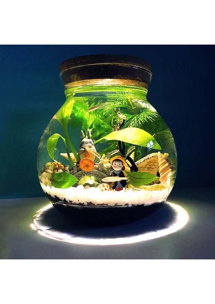 Boş Şişe M Stili Akvaryum Küçük Balık Tankı Mikro Görünüm Görüntüleme Akvaryum Çevre Düzenlemesi Mücadele Balık Tankı Cam Ekolojik Şişe Akvaryum Aksesuarları (Yurt Dışından) modelleri