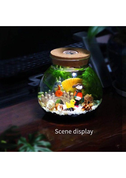 Boş Şişe M Stili Akvaryum Küçük Balık Tankı Mikro Görünüm Görüntüleme Akvaryum Çevre Düzenlemesi Mücadele Balık Tankı Cam Ekolojik Şişe Akvaryum Aksesuarları (Yurt Dışından) fırsatları