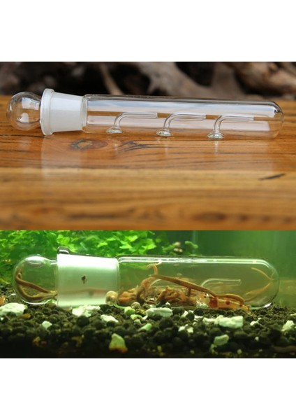 Cam Tarzı Akvaryum Solucan Tuzak Balık Tankı Zararlı Yakalama Tuzak Cam Temizci Için Planarya Düz Solucan Akvaryum Akvaryum Temizleyici (Yurt Dışından) modelleri