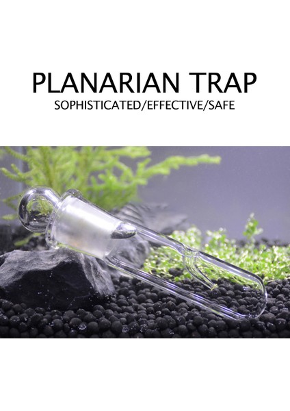 Cam Tarzı Akvaryum Solucan Tuzak Balık Tankı Zararlı Yakalama Tuzak Cam Temizci Için Planarya Düz Solucan Akvaryum Akvaryum Temizleyici (Yurt Dışından) fırsatları