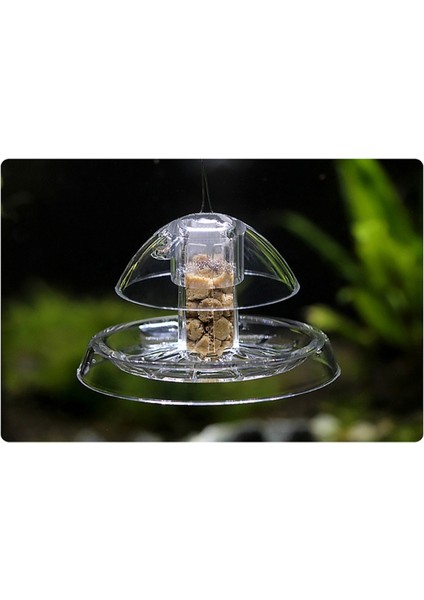 2SS203201-S Stili Tank Akvaryum Temiz Salyangoz Tuzak Yakalayıcı Bitkiler Planarian Zararlı Plastik Yakalama Aracı D0LD (Yurt Dışından) fırsatları