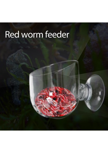 L Tarzı Akvaryum Balıkları Tankı Sucul Besleyici Balık Tankı Malzemeleri Cam Saksı Bitki Besleme Bardak Tutucu Karides 1 Adet (Yurt Dışından) fiyatları