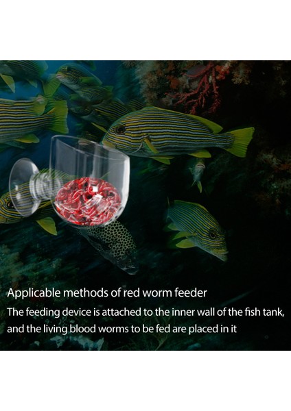 L Tarzı Akvaryum Balıkları Tankı Sucul Besleyici Balık Tankı Malzemeleri Cam Saksı Bitki Besleme Bardak Tutucu Karides 1 Adet (Yurt Dışından) modelleri