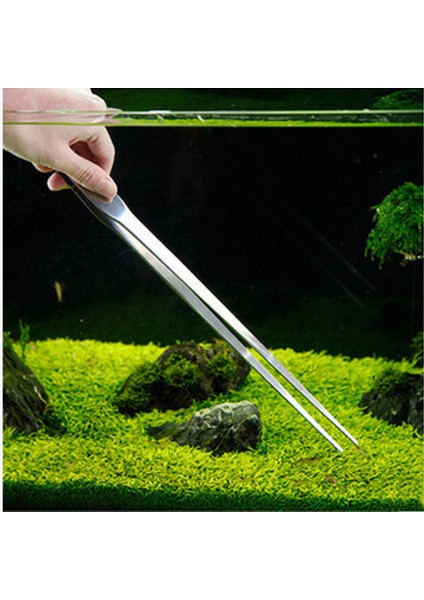 Düz Cımbız Stili En Iyi Promosyon Universal 27CM Akvaryum Bitkisi Karides Mercan Tankı Düz Cımbız Paslanmaz Çelik Taşlı Cımbız (Yurt Dışından)