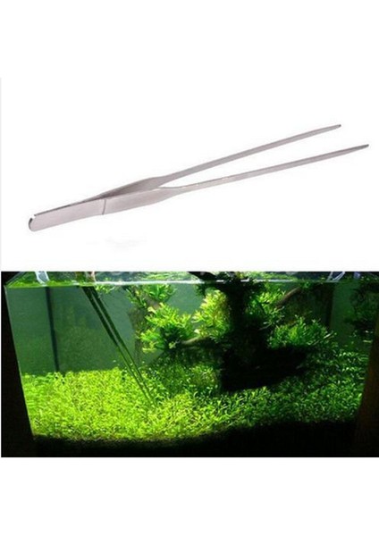 Düz Cımbız Stili En Iyi Promosyon Universal 27CM Akvaryum Bitkisi Karides Mercan Tankı Düz Cımbız Paslanmaz Çelik Taşlı Cımbız (Yurt Dışından)
