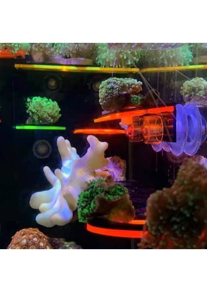 Yeşil Tek Stil Floresan Mercan Frag Raf Akrilik Yetiştirme Mercan Tutucu Braket Lps Braket Montaj Aracı Deniz Resif Tankı Peyzaj (Yurt Dışından) modelleri