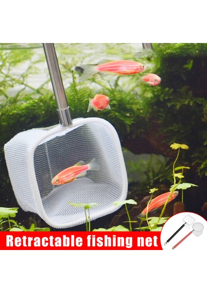 Kare Ağ Stili Yeni Akvaryum Karides Ağı Mini Balık Ağı Ince Örgü Teleskopik Küçük Süzme Hızlı Ağ Paslanmaz Uzun Saplı ile (Yurt Dışından) fiyatları