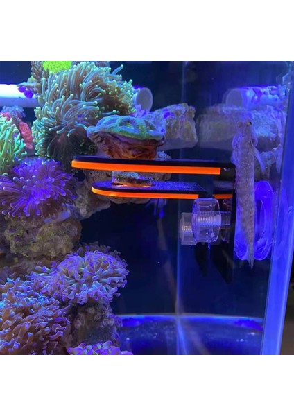 Sarı Stil Balık Tankı Floresan Mercan Frag Parlayan Raf Braketi Akrilik Akvaryum Deniz Resifi Standı Peyzaj Dekorasyonu (Yurt Dışından)