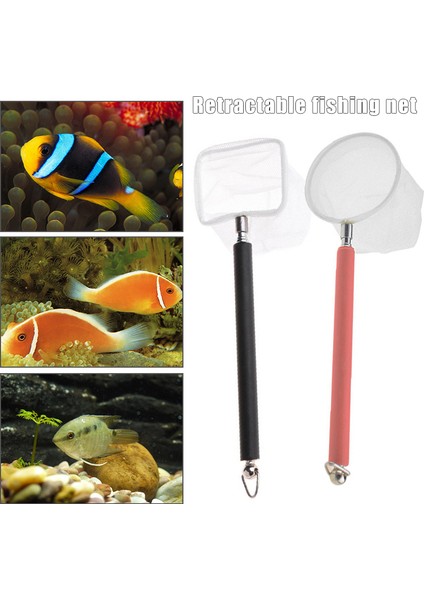 Kare Ağ Stili Yeni Akvaryum Karides Ağı Mini Balık Ağı Ince Örgü Teleskopik Küçük Süzme Hızlı Ağ Paslanmaz Uzun Saplı ile (Yurt Dışından) fırsatları