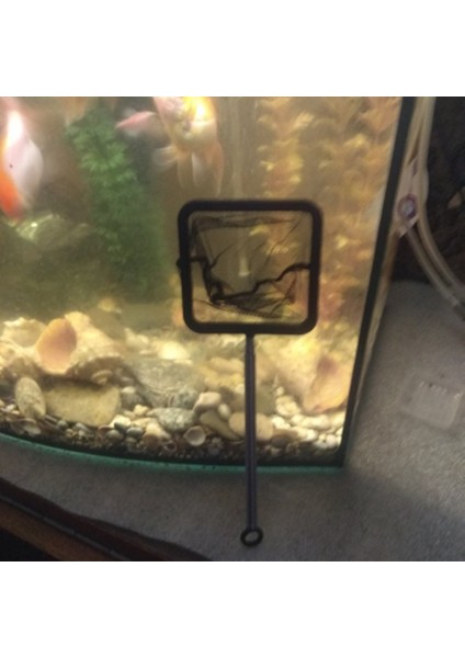 Siyah Stil Profesyonel Teleskopik Dayanıklı Karides Avı Ağları Için Akvaryum Teleskopik Av Ağı Küçük Ağ Çantası (Yurt Dışından) indirimleri