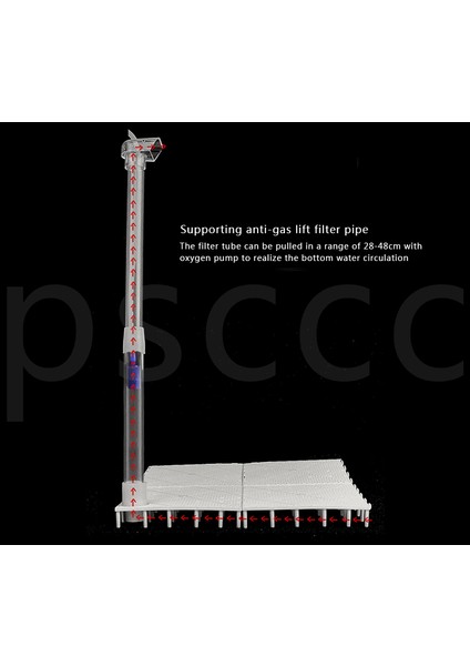 Bir Devralma Tarzı 5 Birim Akvaryum Balık Tankı Alt Kumlama Tabanı Filtre Plakası Sistemi Yeni (Yurt Dışından) fırsatları