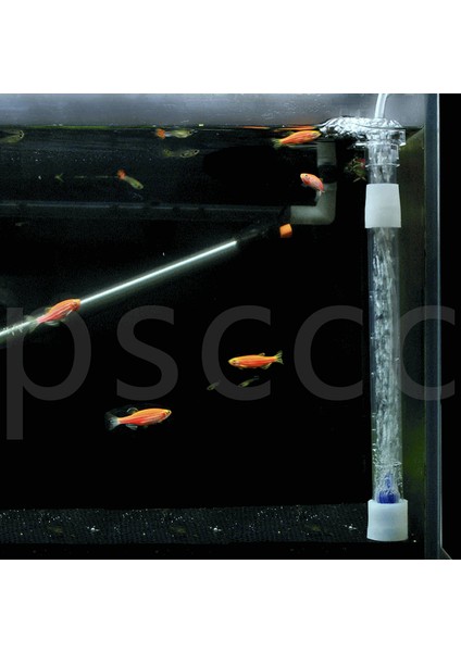 Bir Devralma Tarzı 5 Birim Akvaryum Balık Tankı Alt Kumlama Tabanı Filtre Plakası Sistemi Yeni (Yurt Dışından) indirimleri