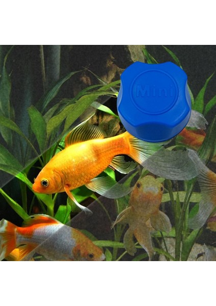 Mavi Stil Akvaryum Manyetik Fırça Cam Yüzen Yosun Temizleyici Eğri Cam Temizleyici Mıknatıs Araç Balık Tankı Cam Temizleme Mıknatısı (Yurt Dışından) fiyatları