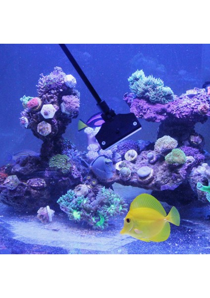 X-1 Dönebilen Balık Tankı Algi Temizleyici Alaşım Paslanmaz Akvaryum Temizleyici Ayarlanabilir ve Kolay Kurulum Balık Tankı Temizleme Araçları (Yurt Dışından) fiyatları