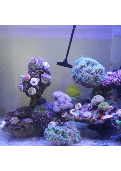 X-1 Dönebilen Balık Tankı Algi Temizleyici Alaşım Paslanmaz Akvaryum Temizleyici Ayarlanabilir ve Kolay Kurulum Balık Tankı Temizleme Araçları (Yurt Dışından) modelleri