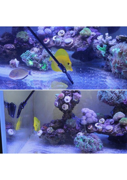 X-1 Dönebilen Balık Tankı Algi Temizleyici Alaşım Paslanmaz Akvaryum Temizleyici Ayarlanabilir ve Kolay Kurulum Balık Tankı Temizleme Araçları (Yurt Dışından) fırsatları