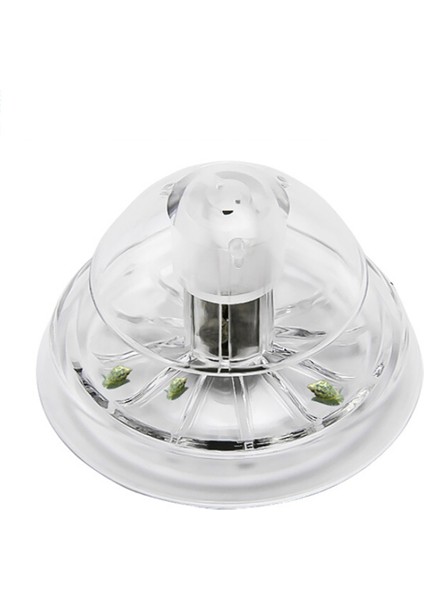 Stili Temizle S Beden Akvaryum Balık Tankı Plastik Berrak Salyangoz Tuzak Yakalayıcı Bitkiler Planarian Zararlı Yakalama Kutusu Sülük Hava Deliği ile Temizlik Araçları (Yurt Dışından) fırsatları