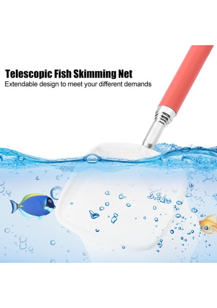 Kırmızı Stil Yuvarlak Akvaryum Balık Ağı Uzatılabilir Teleskopik Fırın Skimming Ağı Mini Ayarlanabilir Balık Tankı Temizleyici Balıkçılık Sepetleri (Yurt Dışından) modelleri
