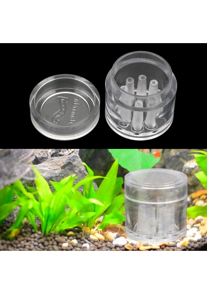 Akvaryum Temizleme Araçları Akvaryum Balık Bitki Tankı 8 Delik Planaria Salyangoz Tuzak Şeffaf Zararlı Yakalama (Yurt Dışından)