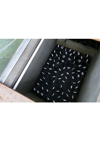 Siyah Stil 30 cm Uzunluğunda Mcm Uzun Akvaryum Temizlik Filtre Araçları Balık Havuzu Filtre Fırçası Için Akvaryum Tank Temizleme Filtre Fırçası Filtre Çıkarıcı (Yurt Dışından) indirimleri