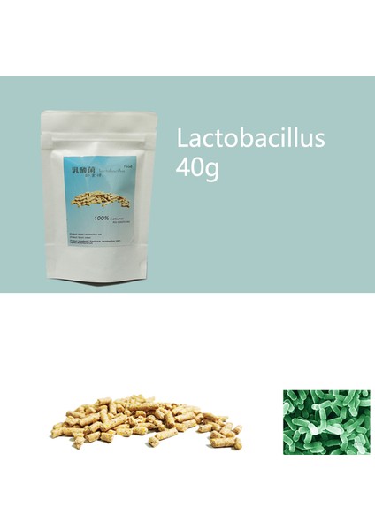 Laktobasil Tarzı 40G Karides Yemi Süs Karides Yemi Buğday Sapı Kabak Çubuğu Ispanak Yüksek Kalsiyumlu Yiyecek Kar Yemi Solucan Çubuğu (Yurt Dışından)
