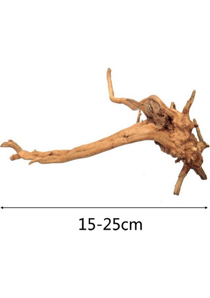 Driftwood 15-25CM Stili Akvaryum Tankı Aquascaping Araçları Akvaryum Veya Cımbız Aracı Akvaryum Bakımı Için Paslanmaz Çelik Su Bitkileri Seti (Yurt Dışından)