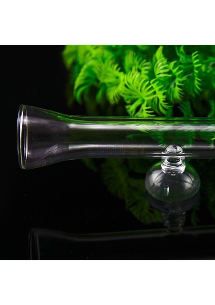 Beyaz Stil Malzeme Cam Akvaryum Temizle Besleyici Tüp Cam Çanak Kase Karides 7cm Bulaşık Güvenli 4 Boyutlu Besleme Gıda (Yurt Dışından) modelleri