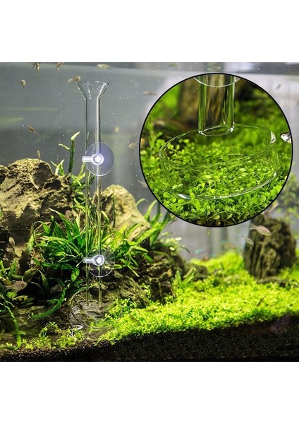 Beyaz Stil Malzeme Cam Akvaryum Temizle Besleyici Tüp Cam Çanak Kase Karides 7cm Bulaşık Güvenli 4 Boyutlu Besleme Gıda (Yurt Dışından) indirimleri