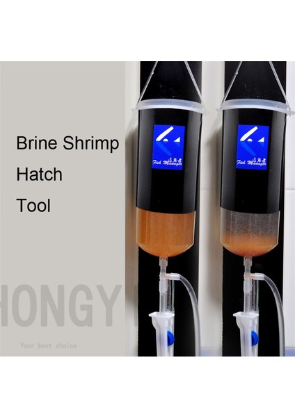 Deniz Tuzu 100G Tarzı Peri Karides Yumurta Artemia Canlı Kolay Tarama Aracı Bebek Salamura Karides Küçük Bebek Balık Yemi Taze Akvaryum (Yurt Dışından) fiyatları