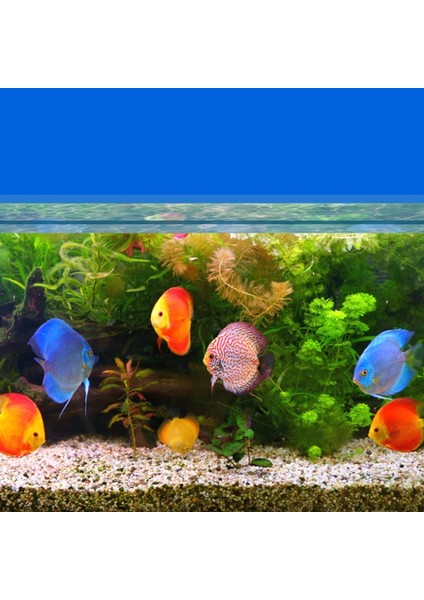 D Stili 6 Katmanlı Yapıştırıcı Olmayan Biyokimyasal Pamuk Akvaryum Filtre Süngeri Su Tankı Filtreleme Aksesuarları (Yurt Dışından) indirimleri